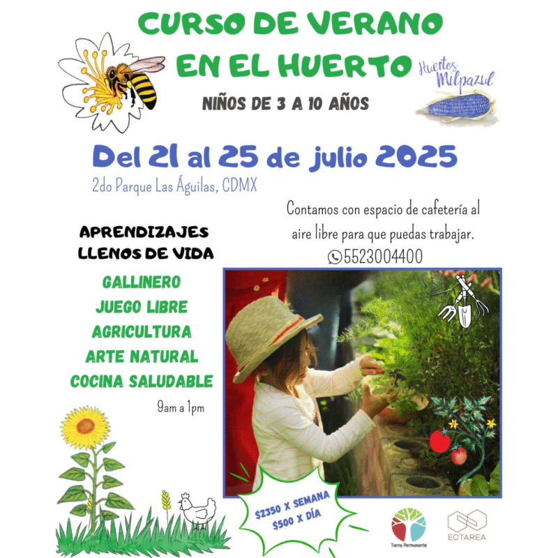 Curso de Verano