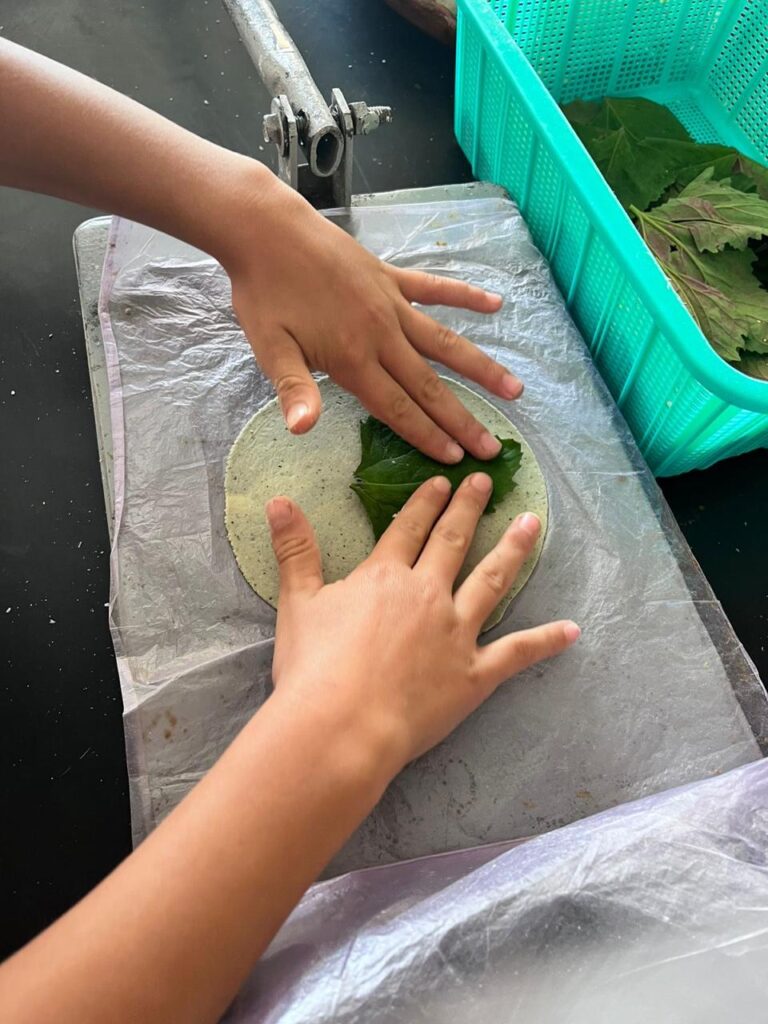 WhatsApp Image 2026-02-12 at 11.38.50