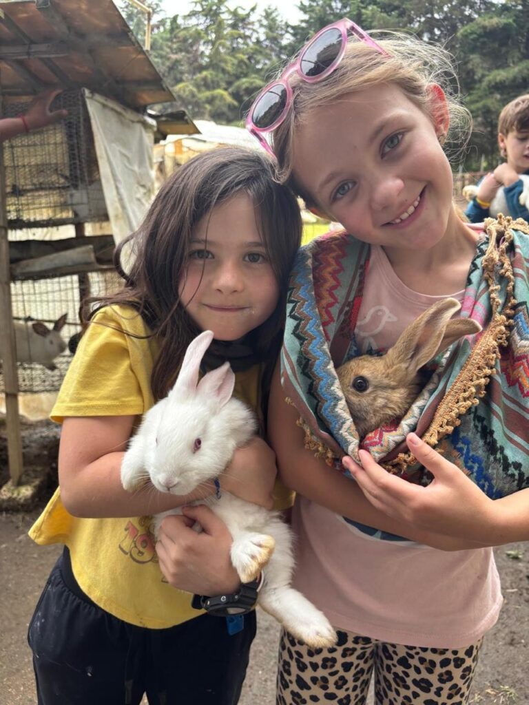 WhatsApp Image 2026-02-12 at 11.38.50