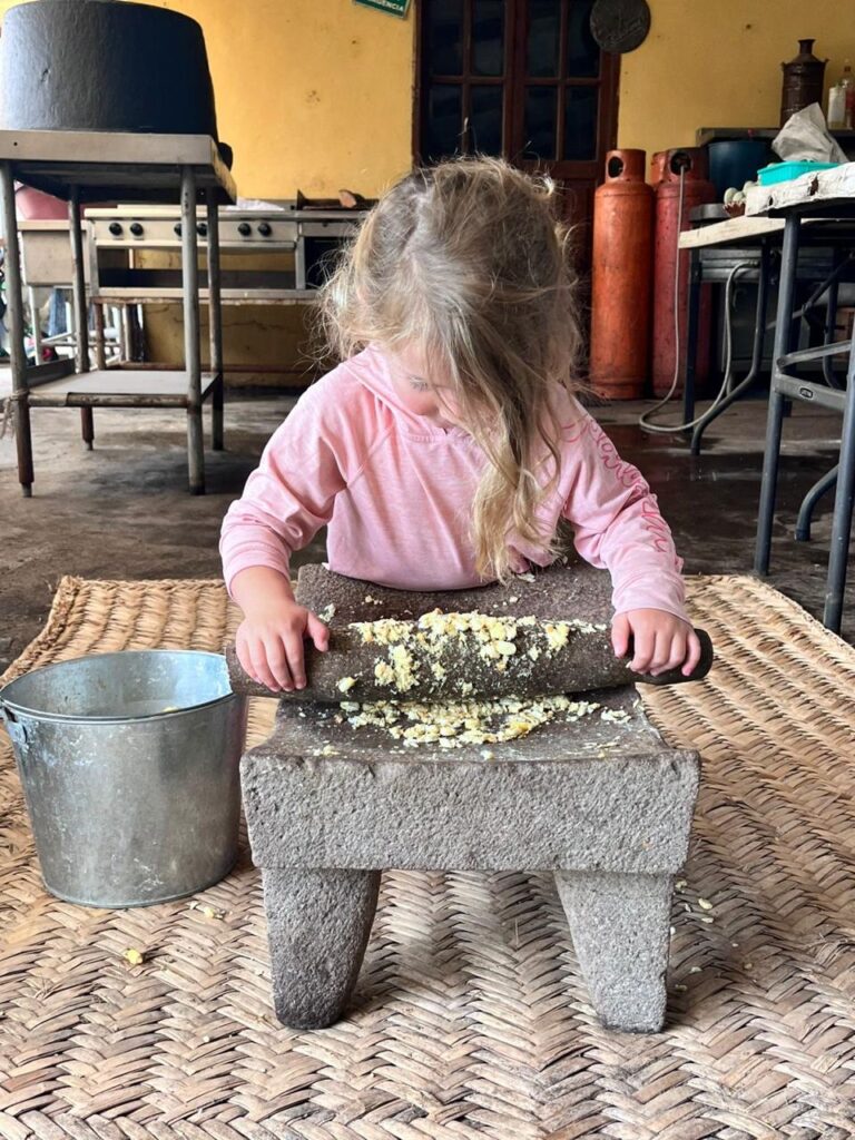 WhatsApp Image 2026-02-12 at 11.38.51