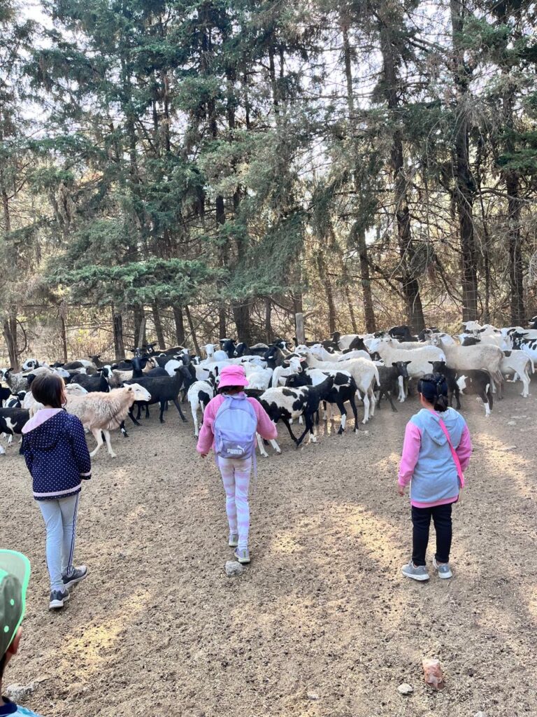 WhatsApp Image 2026-02-12 at 11.38.51