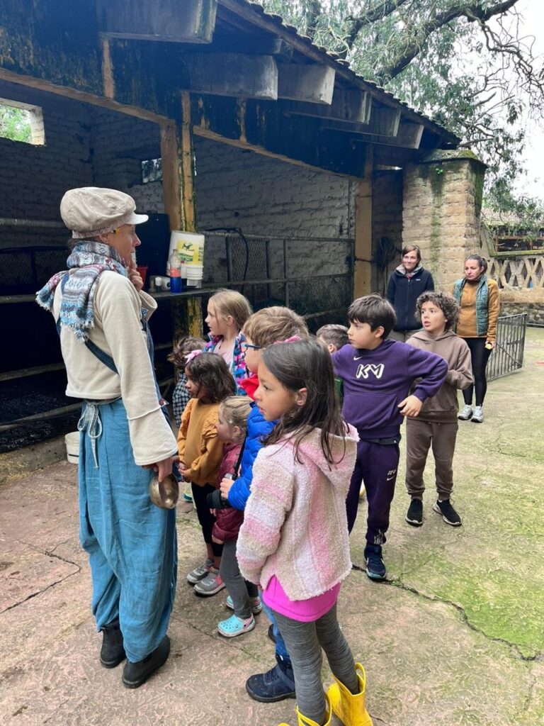 WhatsApp Image 2026-02-12 at 11.38.51