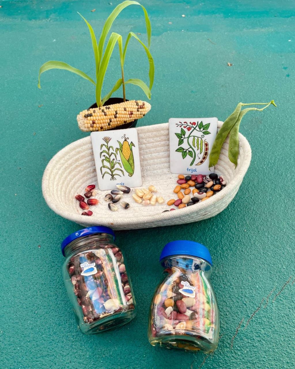 WhatsApp Image 2026-04-29 at 13.18.14